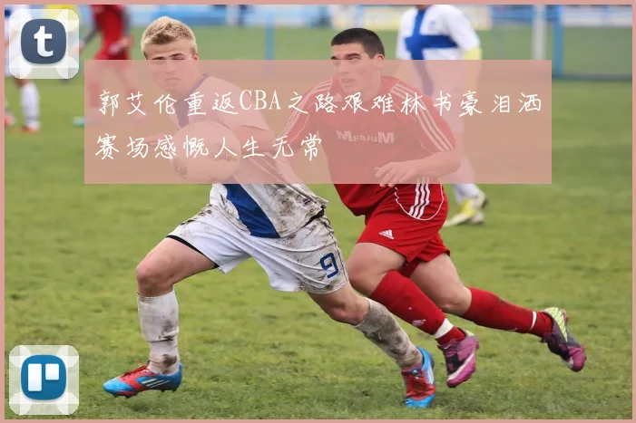 郭艾伦重返CBA之路艰难林书豪泪洒赛场感慨人生无常